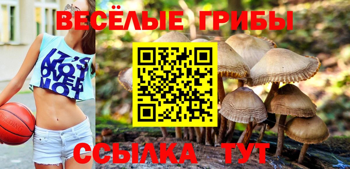 Галлюциногенные грибы прущие грибы Нефтекамск