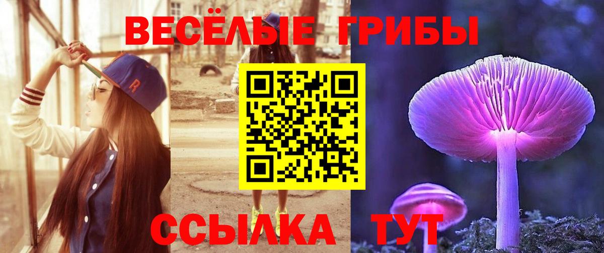 Нефтекамск  Псилоцибиновые грибы Psilocybe  Вход с VPN 